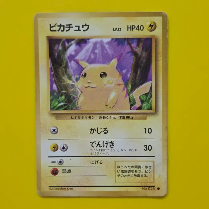 [BUNJANG] Pokemon Card Large Pikachu (Chubby Pikachu) - Early Japanese Edition - For Collection/Album / 포켓몬카드 큰피카츄 뚱카츄 초기 일판 소장용 앨범용