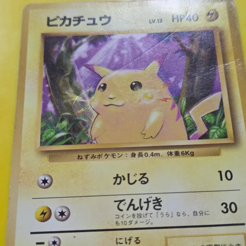 [BUNJANG] Pokemon Card Large Pikachu (Chubby Pikachu) - Early Japanese Edition - For Collection/Album / 포켓몬카드 큰피카츄 뚱카츄 초기 일판 소장용 앨범용