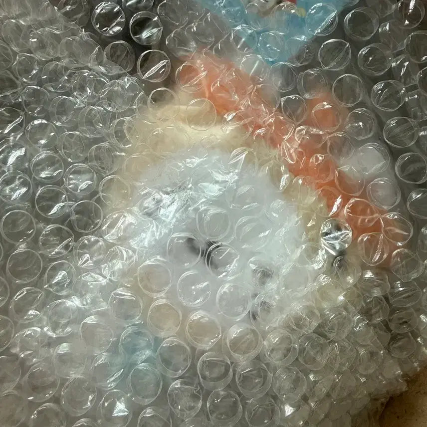 [BUNJANG] WishDoll Bubble Cat Original Sealed / 미개봉 오리지널 위시돌 버블냥