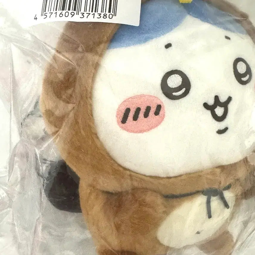 [BUNJANG] Chiikawa Nugu Kuji B Prize Hachiware Plush / 너구리 쿠지 치이카와 B상 하치와레 누이