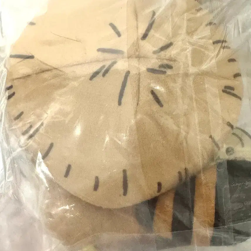 [BUNJANG] Chiikawa Nugu Kuji B Prize Hachiware Plush / 너구리 쿠지 치이카와 B상 하치와레 누이