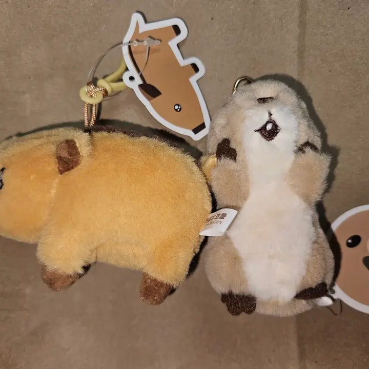 [BUNJANG] Chorongi Wild Boar &amp; Beaver Plush Doll Bundle Set / (일괄, 할인중) 멧돼지 초롱이, 비버 인형 판매 양도
