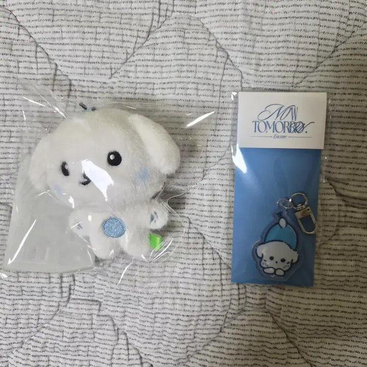 [BUNJANG] Bundle Set Keyring / 백뭉과 키링 일괄 판매합니다~
