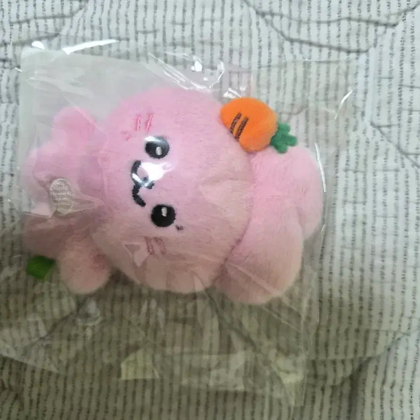 [BUNJANG] fromis_9 Jiwon Stuffed Doll (Sealed) / 프로미스나인 박지원 인형 판매합니다.