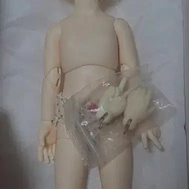 [BUNJANG] Napidoll Kuri Ball-Jointed Doll / 구체관절인형 나피돌 쿠리
