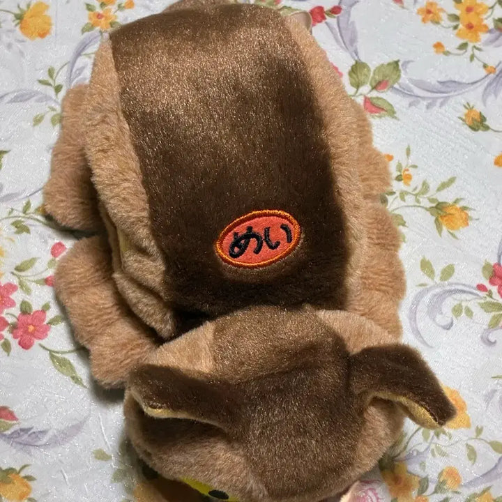 [BUNJANG] Studio Ghibli Catbus Plush Toy / 지브리 고양이버스 인형
