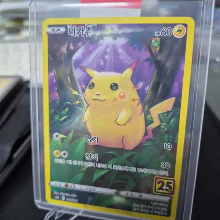 [BUNJANG] Pokemon Card Pikachu 25th Anniversary "Fat Pikachu" / 포켓몬 카드 피카츄 25주년 뚱카츄
