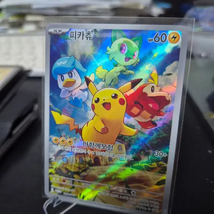 [BUNJANG] Pokemon Card Pikachu Adventure Jumbo Promo / 포켓몬 카드 피카츄 다함께모험 점보 프로모