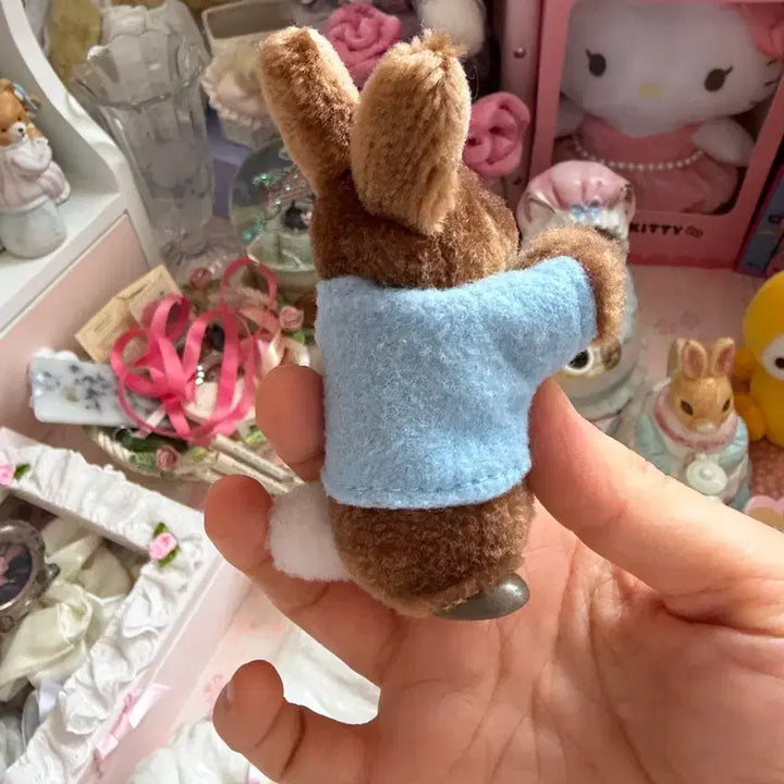 [BUNJANG] Peter Rabbit Doll Clip / 피터래빗 인형 집게