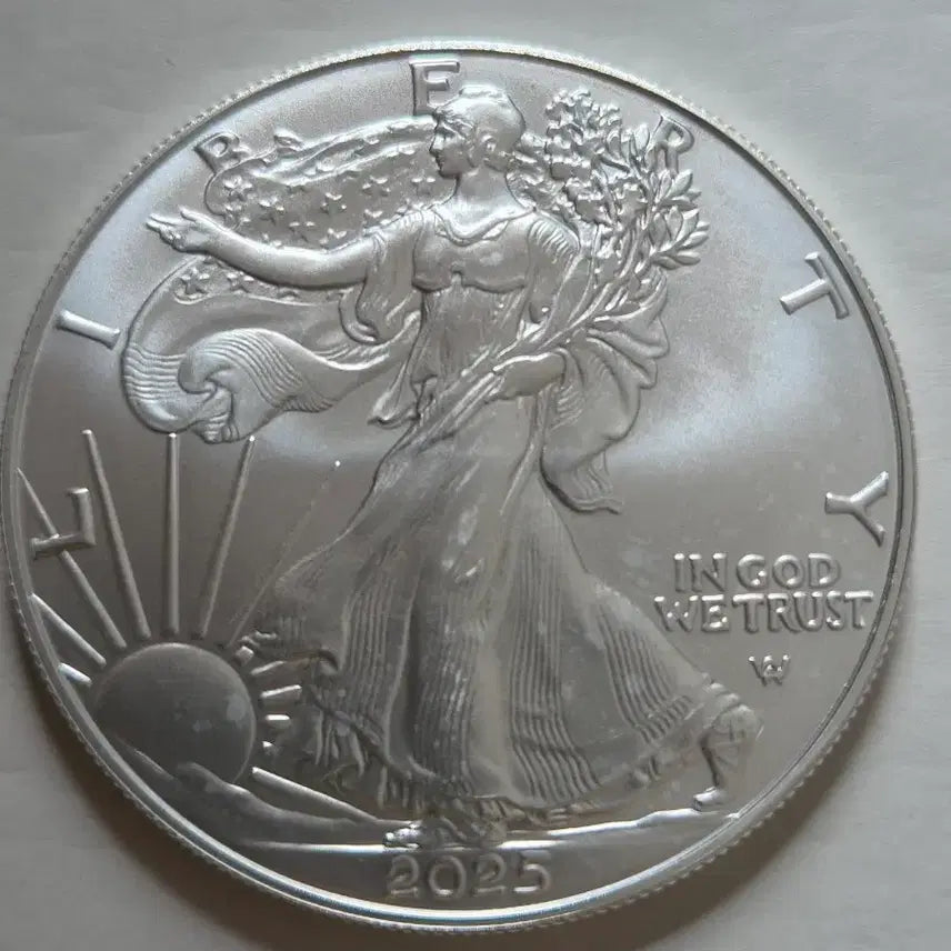 [BUNJANG] 2025 1 oz Silver Eagle Coin / 2025년 1온스 실버이글 은화