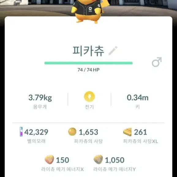 [BUNJANG] Rare Pokémon GO Shiny Pikachu / 포켓몬고 희귀 배경,이로치 피카츄