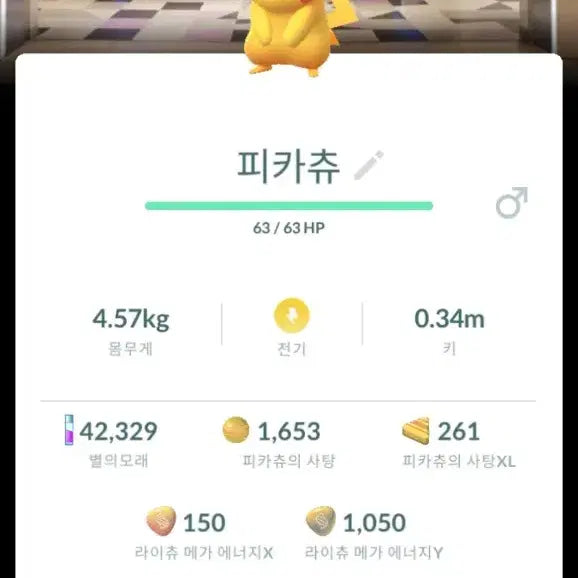 [BUNJANG] Rare Pokémon GO Shiny Pikachu / 포켓몬고 희귀 배경,이로치 피카츄