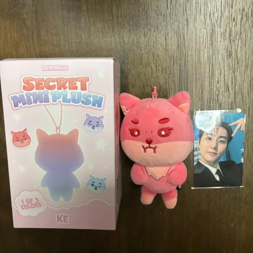 [BUNJANG] Day6 Secret Red Cake Bundle Set Photocard / 데이식스 시크릿 레드케 포카 일괄