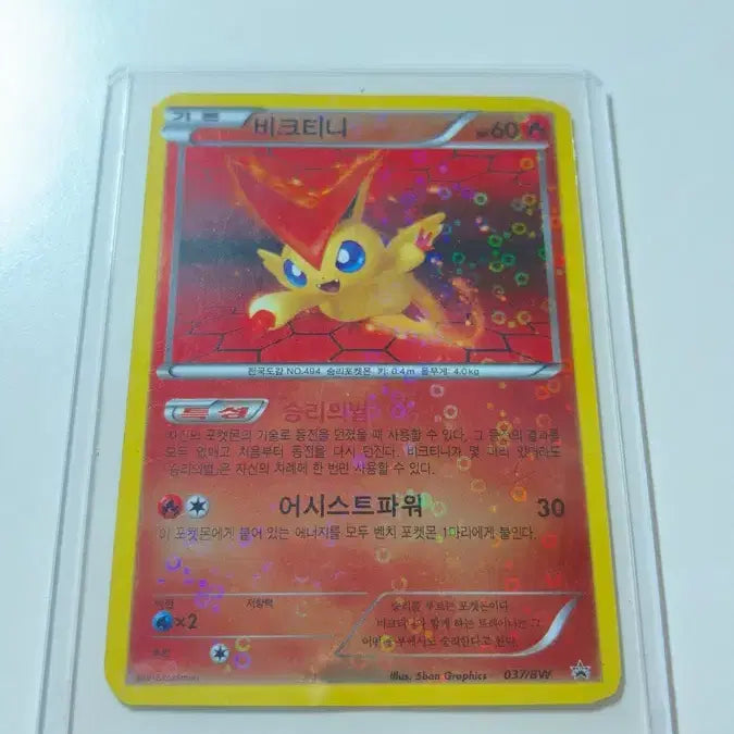 [BUNJANG] Viktini Promo Card / 비크티니 프로모 카드