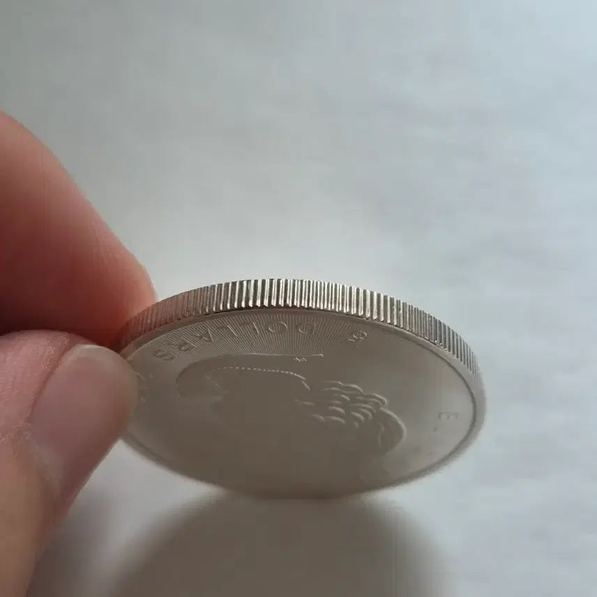 [BUNJANG] 2016 Canada Maple Leaf 1 oz Silver Coin / 2016년 캐나다 메이플 1온스 은화