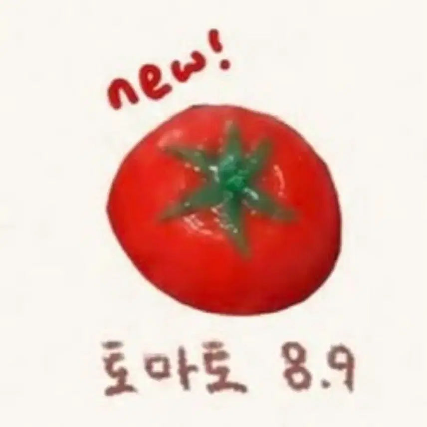 [BUNJANG] Tomato Crunch Slangi New Item / 토마토 크런치 슬랑이 새상품