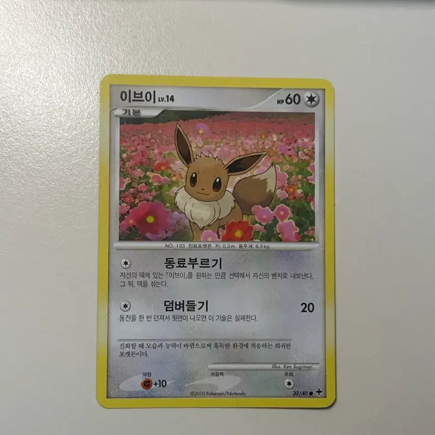[BUNJANG] Pokemon Eevee Card Set (2010, 2012) / [고대] 이브이 카드 두종류 2010, 2012