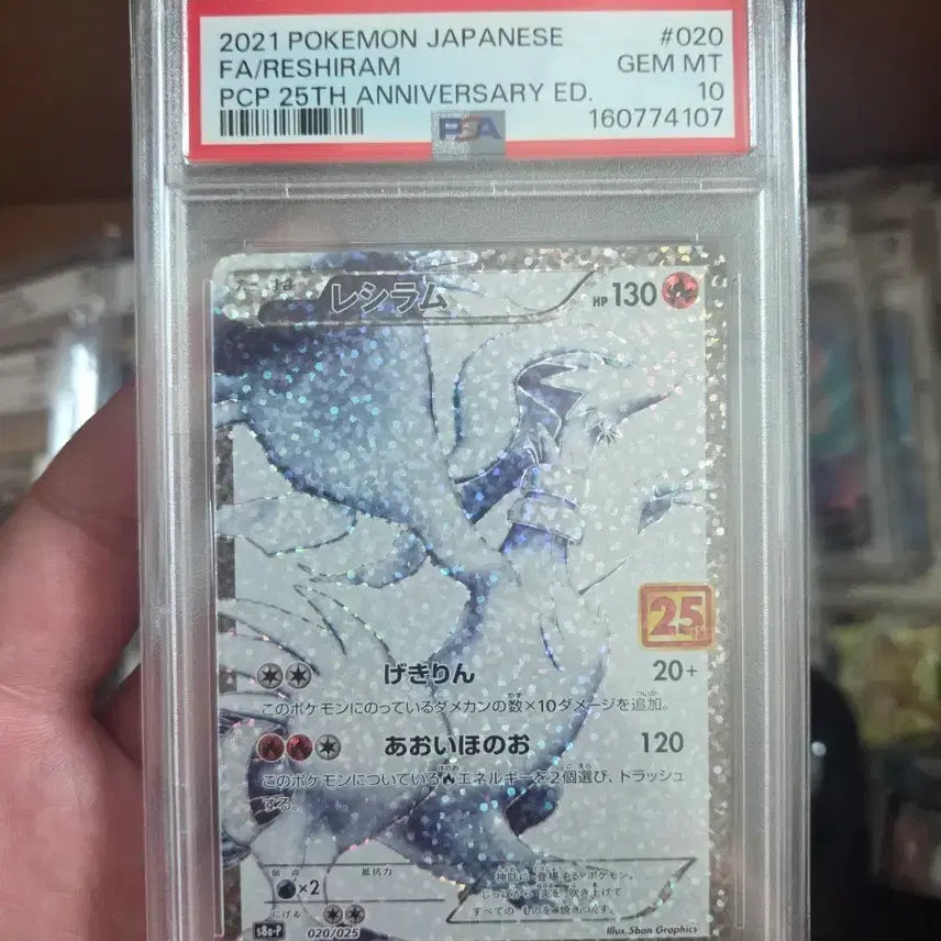 [BUNJANG] Reshiram PSA 10 (25th Anniversary) Japanese Edition / 일판 레시라무 PSA10 (25주년)