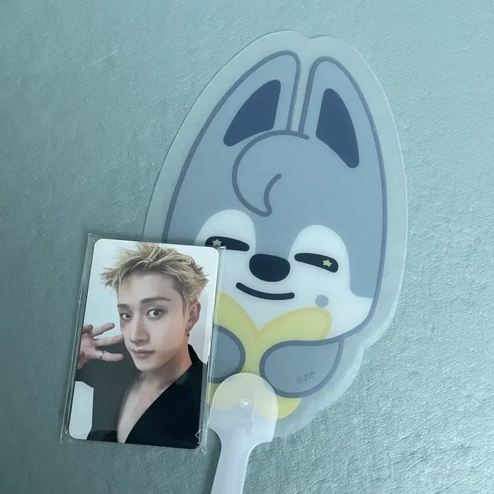[BUNJANG] Stray Kids SKZ-REPLAY Run to the World Concert Wolf Chan Entrance Photocard Set &amp; Fan / full set 스키즈 런잇 콘서트 입장포카 중콘 7/29 3일차 부채 울프찬