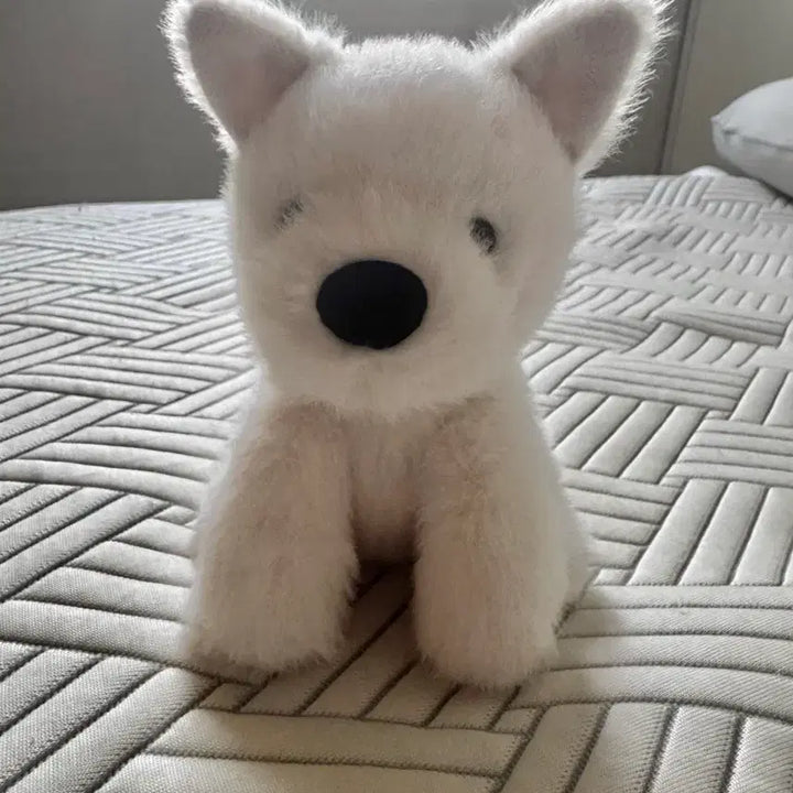 [BUNJANG] Jellycat Monroe Scotty Dog Junior (China Exclusive) / 중국한정) jellycat 먼로 스코티독 주니어 젤리캣 정품