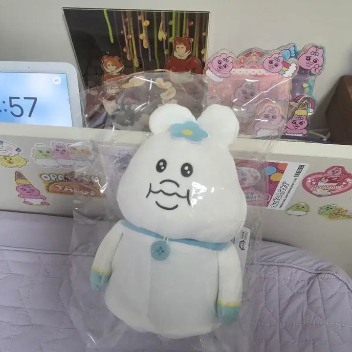 [BUNJANG] Onpocham Character Storage Case / 음뽀챠무 보관함 인형
