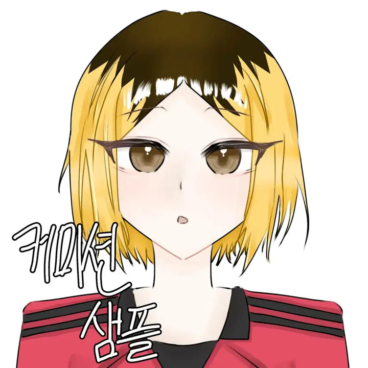 [BUNJANG] Portrait Badge Commission / 0.6 정면 두상 인장 그림 커미션