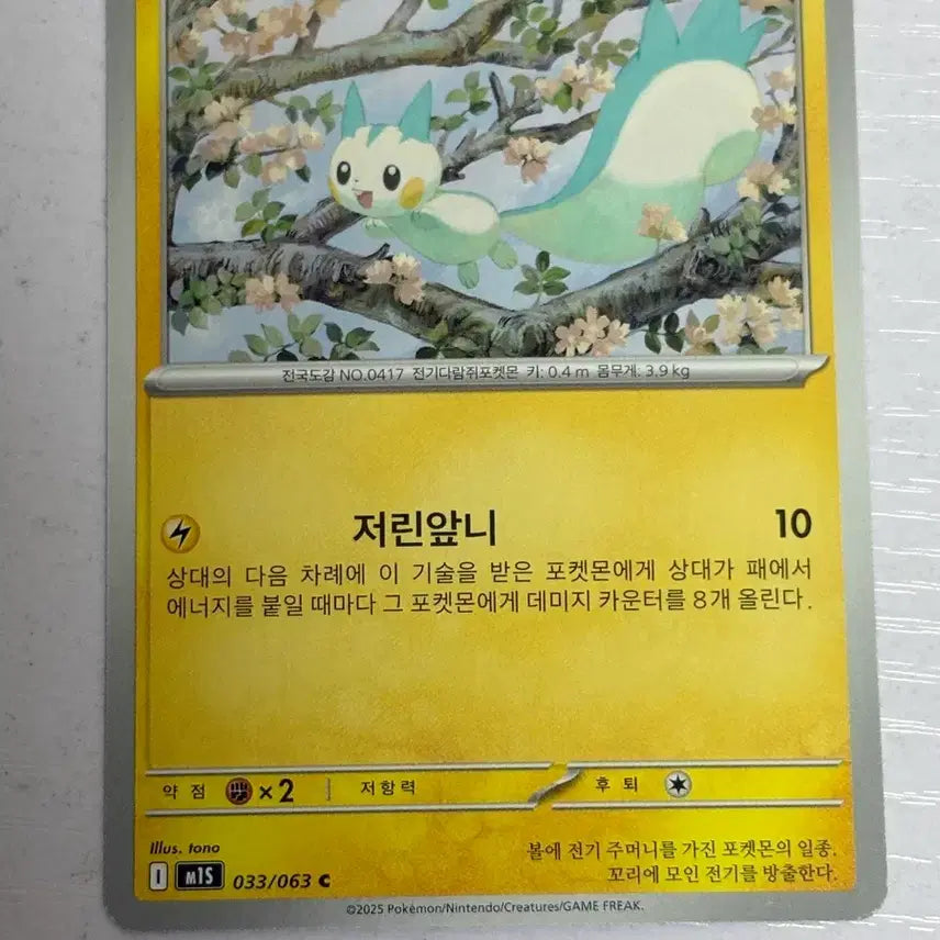[BUNJANG] Pokemon Card Pachirisu 033 / [귀여운 포켓몬카드] 파치리스 033
