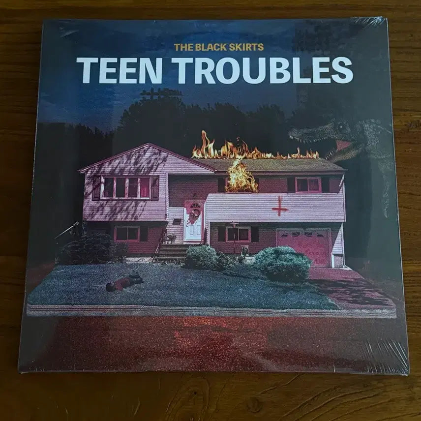 [BUNJANG] The Black Skirts Teen Troubles LP (Sealed) / 검정치마 teen troubles LP 미개봉
