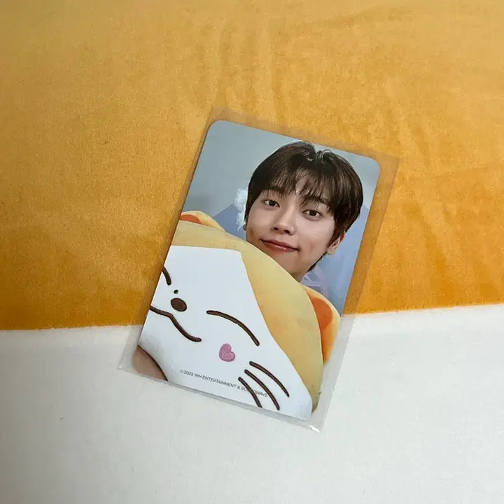 [BUNJANG] ONF ONKKOMIZ Kkyung Face Cushion / 온앤오프 온꼬미즈 뀬둥이 얼굴쿠션