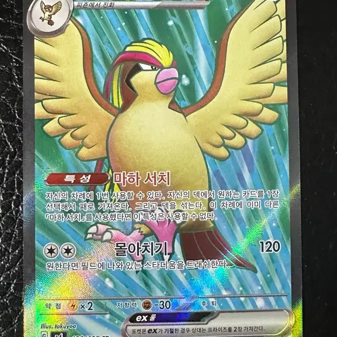 [BUNJANG] Pokemon Card Pidgeot EX SR / 포켓몬카드 피죤투 EX SR