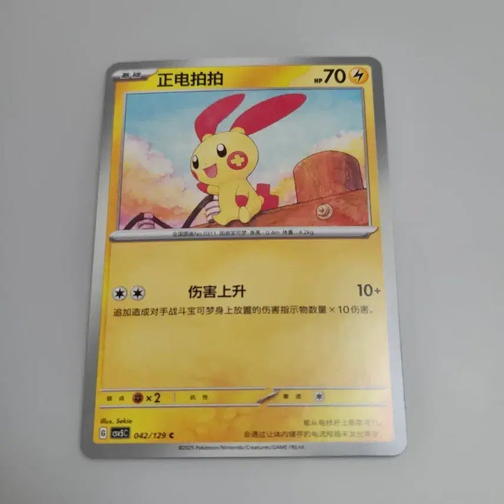 [BUNJANG] Pokemon Card - Mid-Print Run Plush Album Card / 포켓몬카드 중판 플러시 앨범용