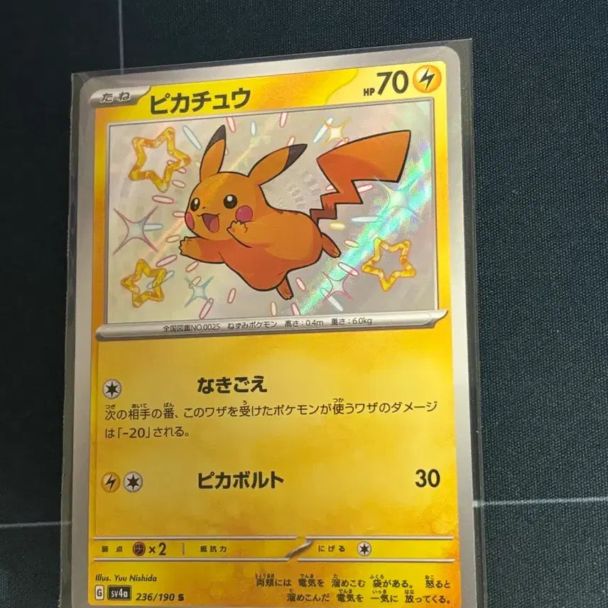 [BUNJANG] Shiny Pikachu / 일판 이로치 피카츄