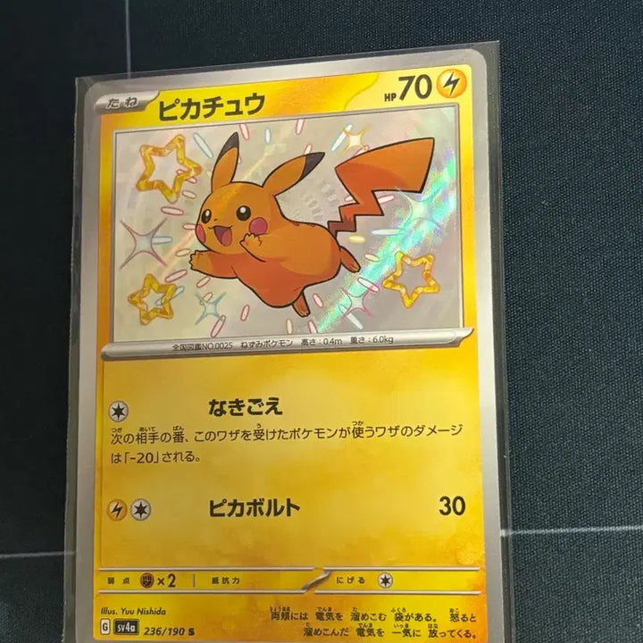 [BUNJANG] Shiny Pikachu / 일판 이로치 피카츄