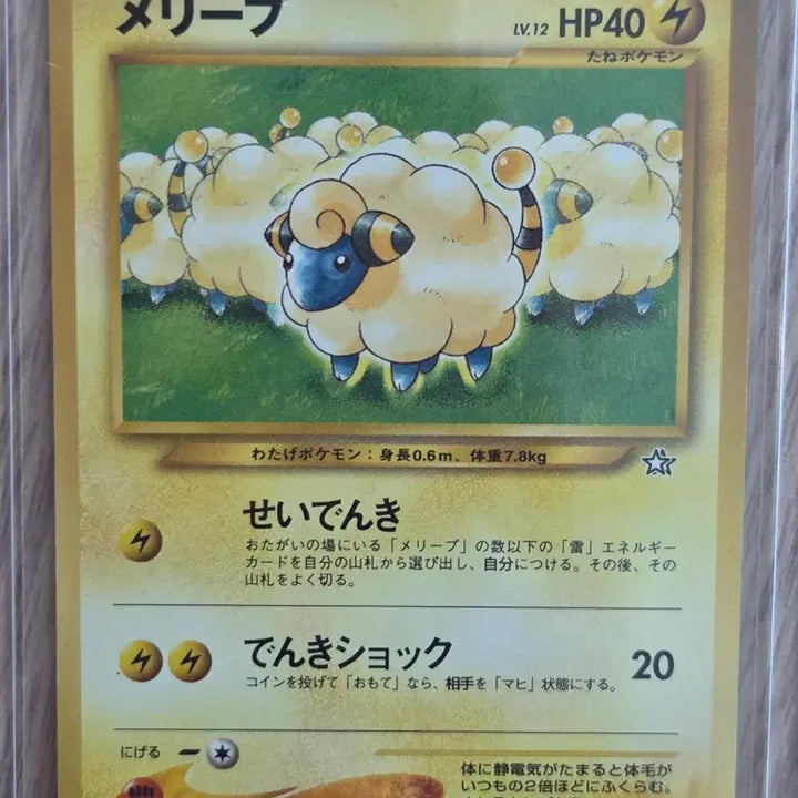 [BUNJANG] 2009 Pokemon Card Mareep Limited Promo Vintage Old Back / [일판] 2009년 포켓몬카드 메리프 한전 프로모 빈티지 올드백