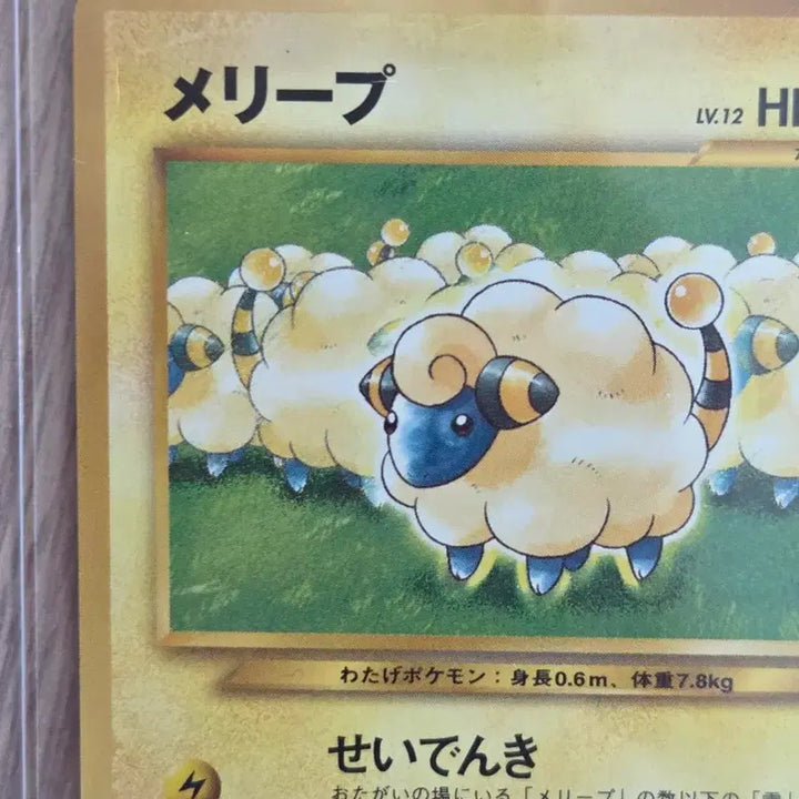 [BUNJANG] 2009 Pokemon Card Mareep Limited Promo Vintage Old Back / [일판] 2009년 포켓몬카드 메리프 한전 프로모 빈티지 올드백