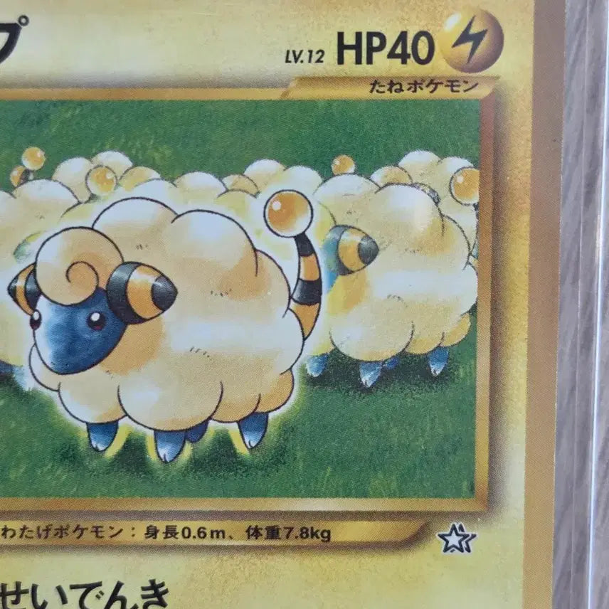 [BUNJANG] 2009 Pokemon Card Mareep Limited Promo Vintage Old Back / [일판] 2009년 포켓몬카드 메리프 한전 프로모 빈티지 올드백