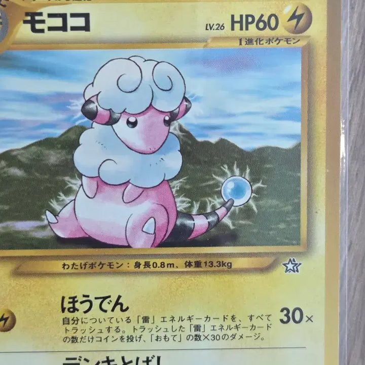 [BUNJANG] Pokemon Card Neo Series Old Back Bolthough Vintage Card (Japanese Release, 2000) / [일판] 포켓몬카드 2000년 네오시리즈 올드백 보송송 빈티지 카드