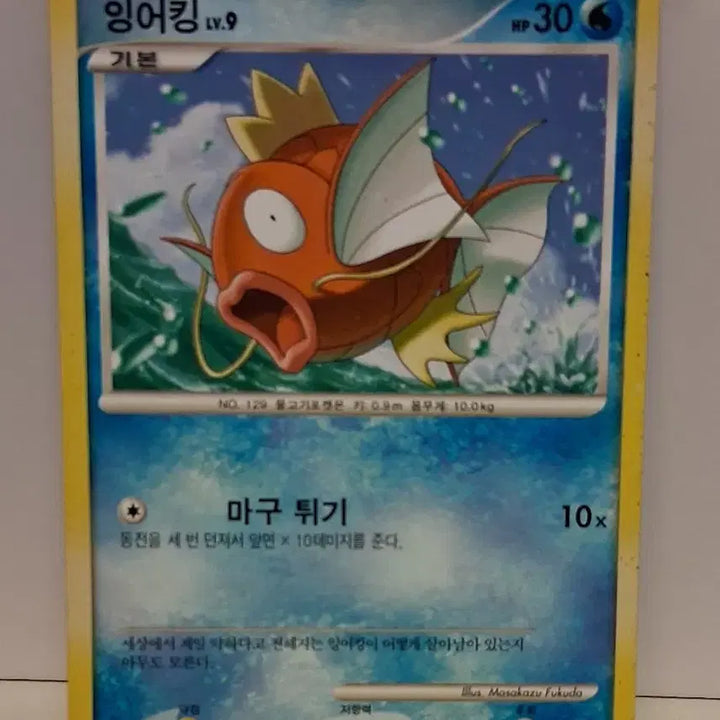[BUNJANG] Pokemon Card Ancient Pack Magikarp / 포켓몬 카드 고대팩 잉어킹