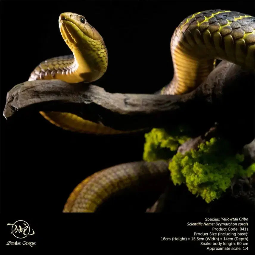 [BUNJANG] Snake Gorge Studio Yellow Crevo Sealed / Snake Gorge스튜디오 옐로우크리보 미개봉품