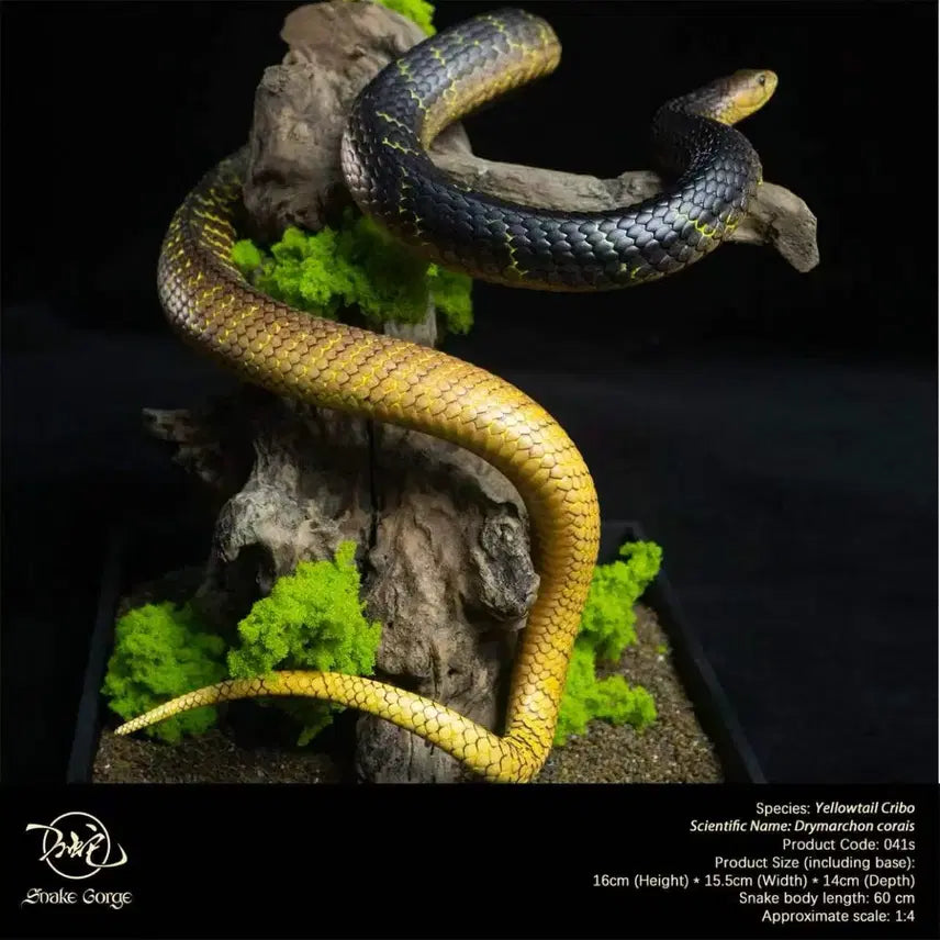 [BUNJANG] Snake Gorge Studio Yellow Crevo Sealed / Snake Gorge스튜디오 옐로우크리보 미개봉품