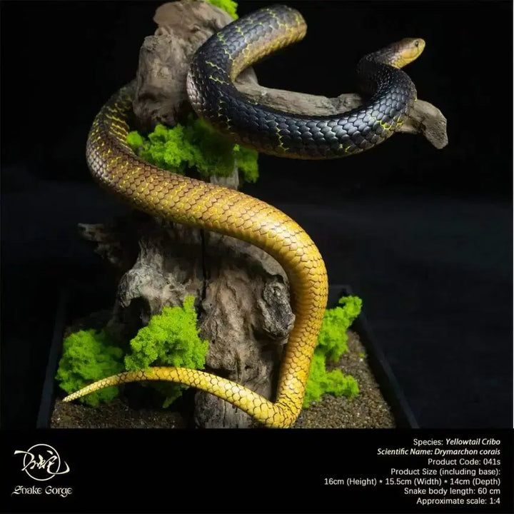 [BUNJANG] Snake Gorge Studio Yellow Crevo Sealed / Snake Gorge스튜디오 옐로우크리보 미개봉품