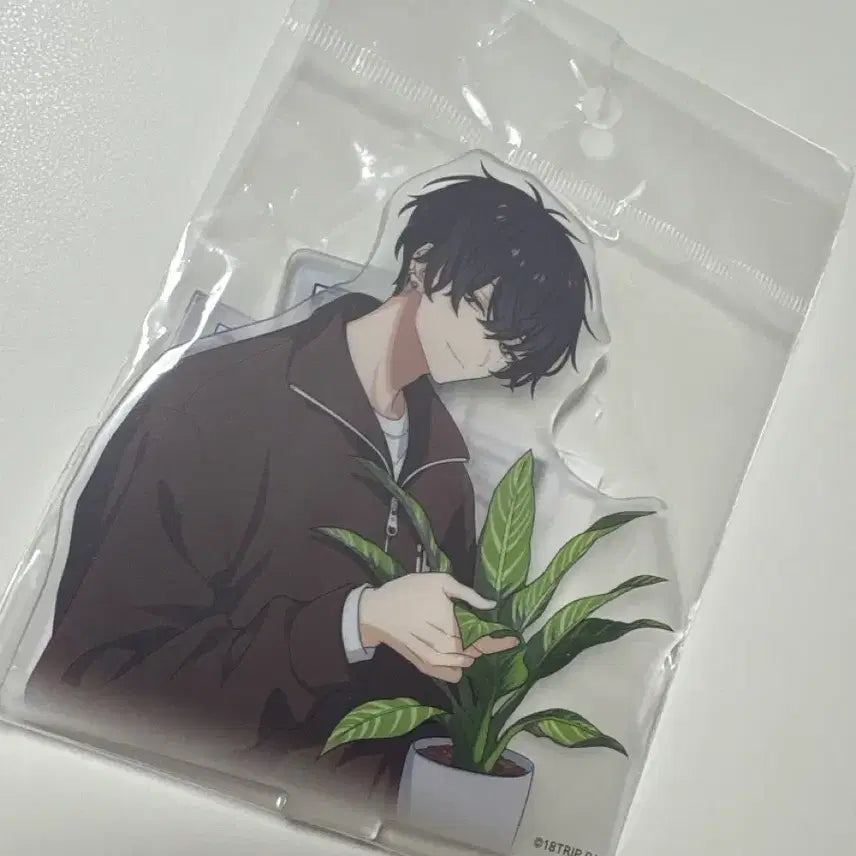 [BUNJANG] 8TTERY Ten Acrylic Stand vol.2 / 에이트리 텐 아크릴스탠드 2탄 미개봉