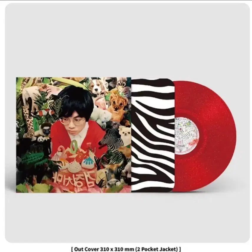 [BUNJANG] The Black Skirts Vinyl Record / 검정치마 LP
