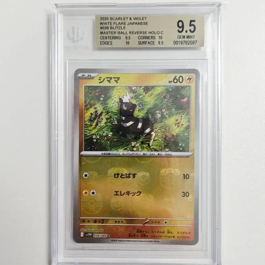 [BUNJANG] Pokemon Card Japanese Jumpluff Master Ball Holo BGS 9.5 / 포켓몬카드 일판 줄뮤마 마스터볼 홀로 BGS9.5