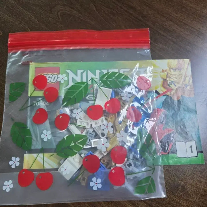 [BUNJANG] LEGO Ninjago 70504 Building Set / 레고 닌자고 70504