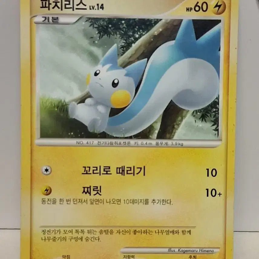 [BUNJANG] Pokemon Card Pachirisu Level 14 (2010 Single Card) / 포켓몬 카드 2010년 싱글 카드 파치리스