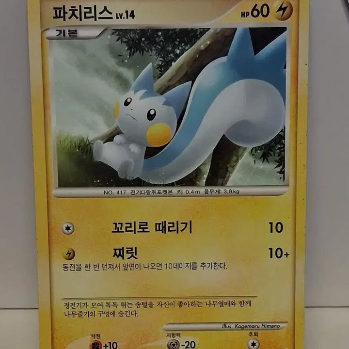 [BUNJANG] Pokemon Card Pachirisu Level 14 (2010 Single Card) / 포켓몬 카드 2010년 싱글 카드 파치리스