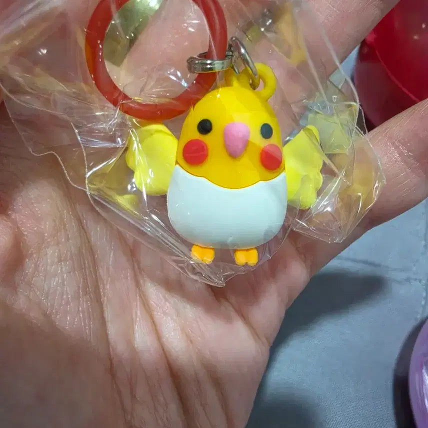 [BUNJANG] Parrot Keychain / 앵무(잉꼬) 메지루시
