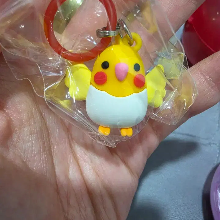 [BUNJANG] Parrot Keychain / 앵무(잉꼬) 메지루시