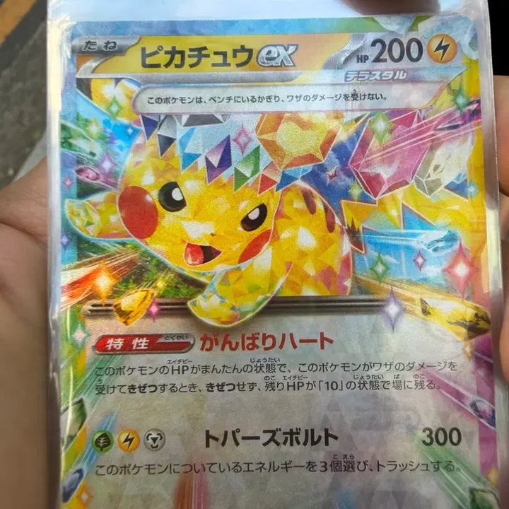[BUNJANG] Pokemon Card Japanese Edition SAR / 포켓몬 카드 일판